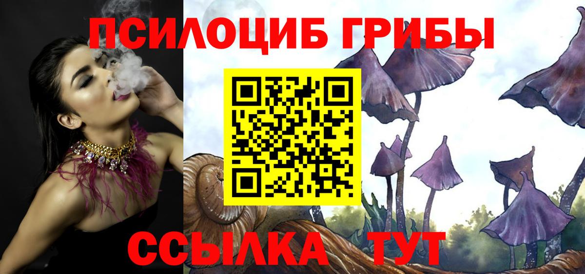 Псилоцибиновые грибы ЛСД  как найти закладки  Ярцево  Вход с VPN 